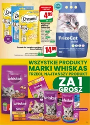 Jesienne smaki wchodzą do gry - Dino