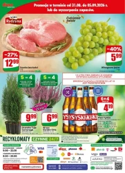 Jesienne smaki wchodzą do gry - Dino