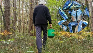 Wygląda jak z "Avatara", a Polacy go zajadają. Znacie tego grzyba?