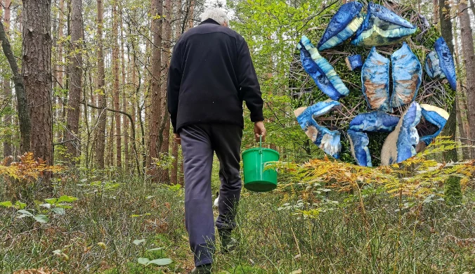 Czy znacie ten niebieski grzyb czym z Avatara?