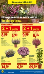 Najlepsze okazje już od czwartku - Lidl