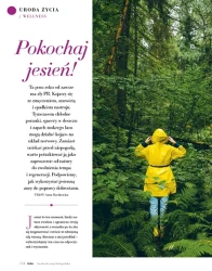 Piękny początek jesieni - Hebe