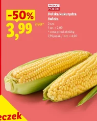 Kukurydza Polski