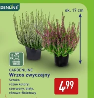Wrzos Gardenline