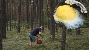 Dziwny "twór" w lesie. To ani grzyb, ani roślina 