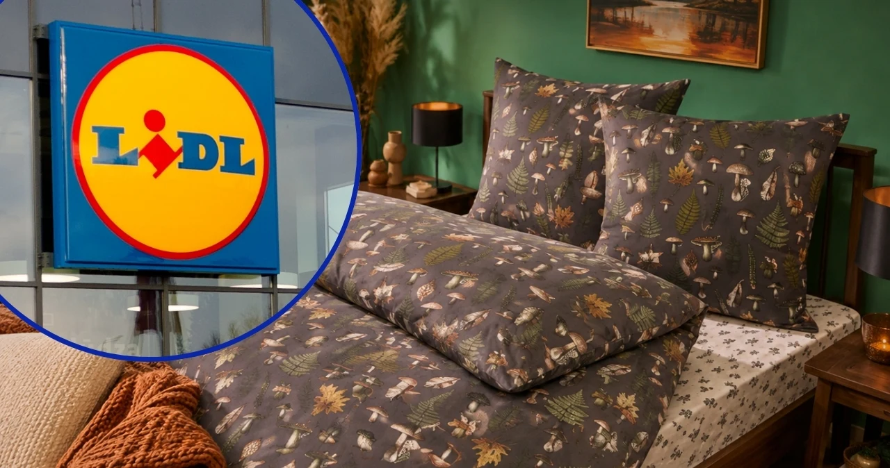 Lidl szykuje sypialnię na jesień. Od jutra pościel w sezonowych wzorach i piżamy 50% taniej Komplet pościeli Livarno z leśnym motywem na łóżku, logo Lidl w okręgu widoczne obok.