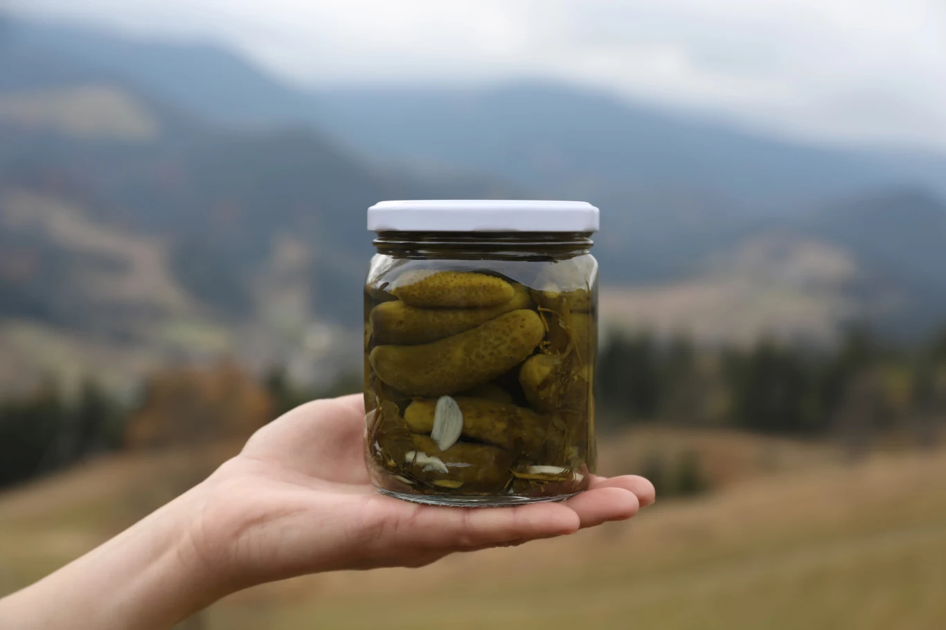 Korniszony po beskidzku to pomysł na pikantne przetwory na zimę. Słoik korniszonów po beskidzku na wyciągniętej dłoni, w tle krajobraz górski.