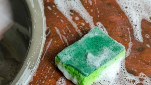 Gąbki kuchenne należy wymieniać nawet co kilka dni. Są siedliekiem bakterii 