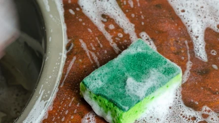Gąbki kuchenne należy wymieniać nawet co kilka dni. Są siedliekiem bakterii 