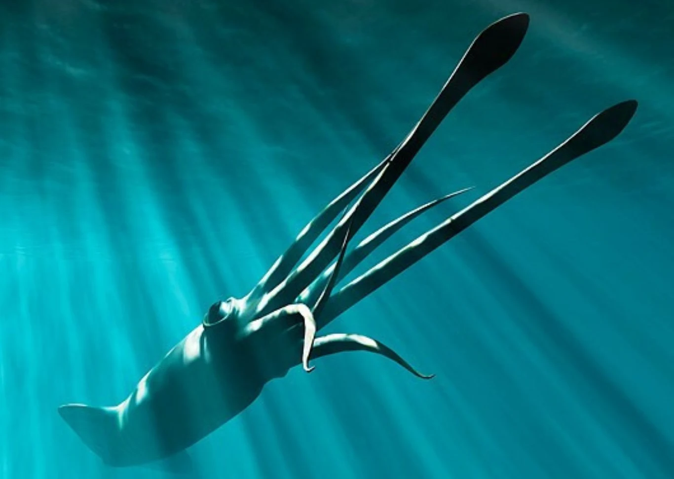 Wielkie kałamarnice padają dzisiaj łupem kaszalotów. Miliony lat temu na wielkie głowonogi polowały inne giganty Duża kałamarnica w głębinach oceanu, otoczona promieniami światła przenikającymi przez wodę.