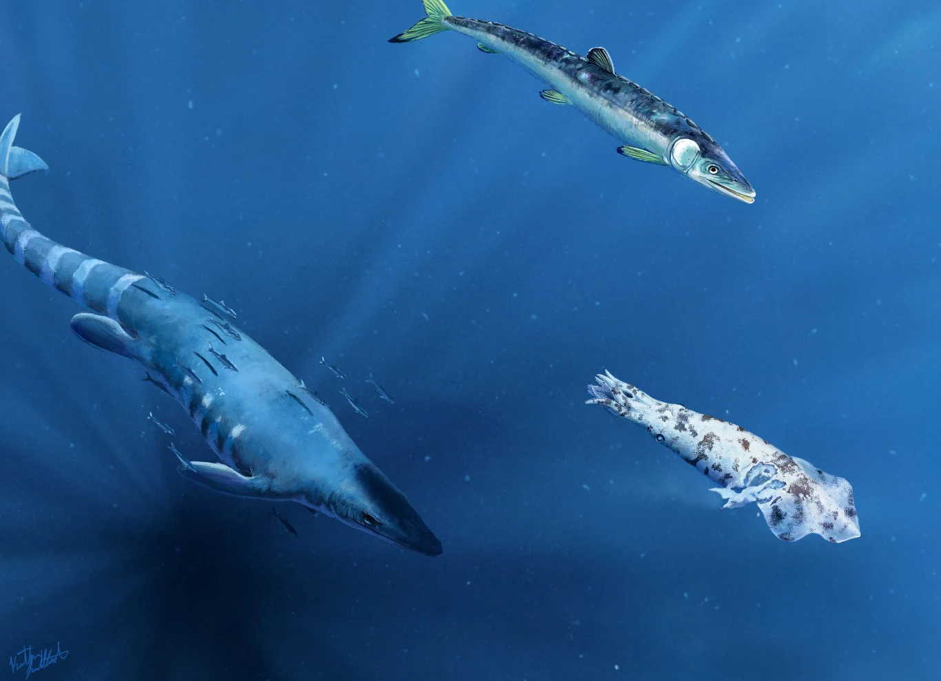 Ośmiornica Enchoteuthis mogła zostać zaatakowana przez dużego mozazaura Trzy prehistoryczne zwierzęta morskie pływające w głębokiej, niebieskiej wodzie — duży drapieżny gad, smukła ryba oraz głowonóg o wyrazistym umaszczeniu.