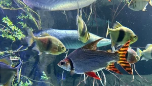 Była kopalnia, jest park. Podczas spaceru dzieci będą zachwycone 