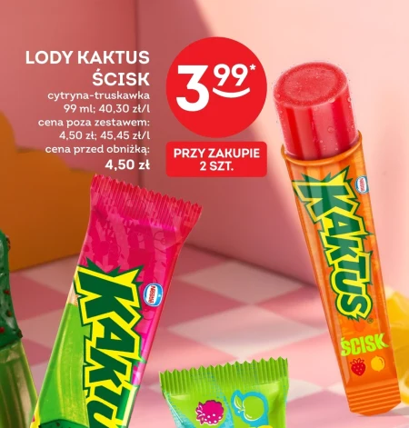 Кактус Kaktus