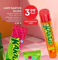 Кактус Kaktus