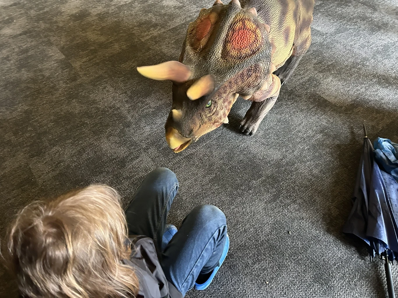 Mechaniczne dinozaury są atrakcją szczególnie dla dzieci Dziecko siedzące na podłodze naprzeciwko realistycznej figury dinozaura oraz leżący obok ciemny parasol.