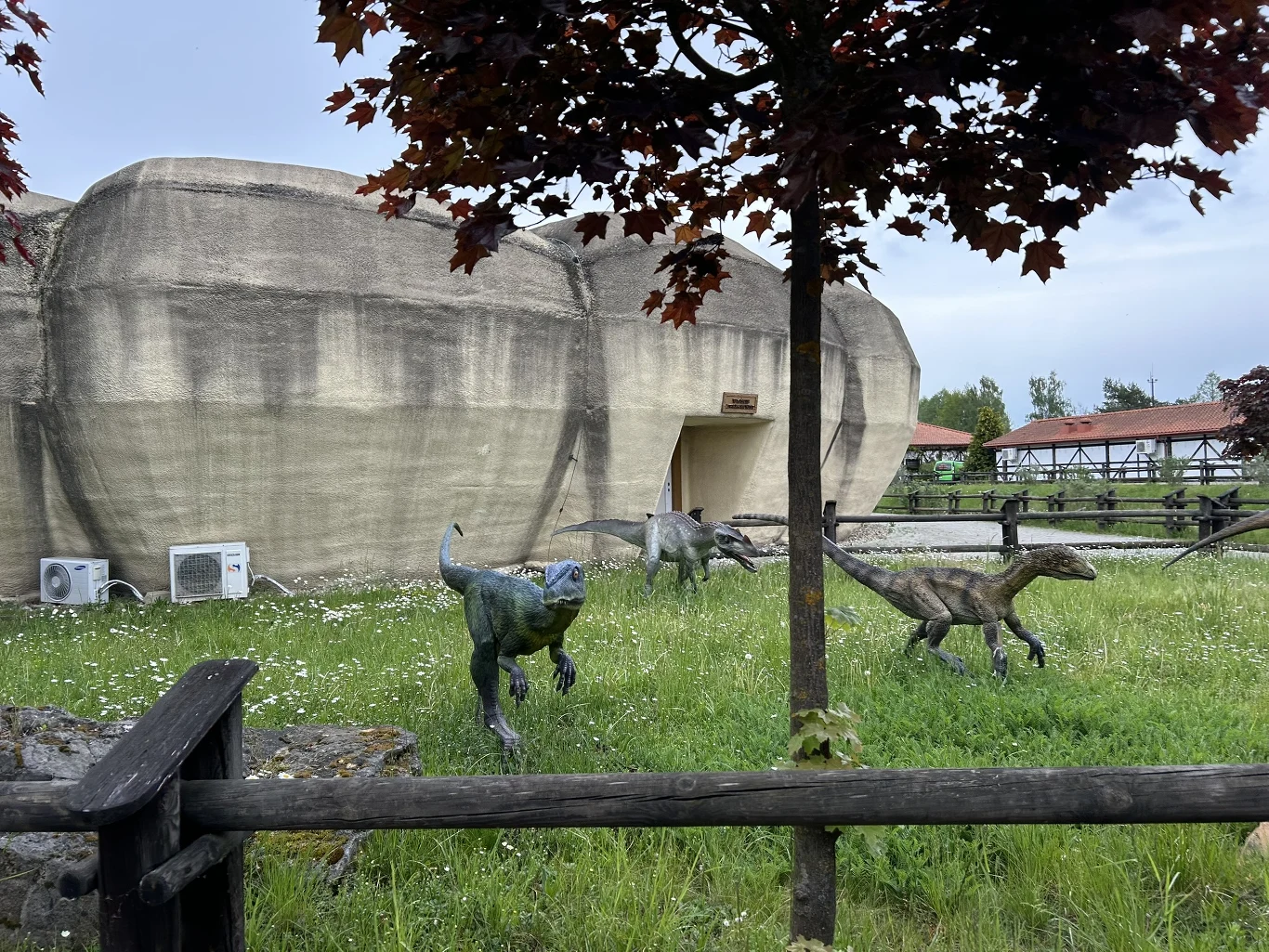 W Krasiejowie miłośnicy dinozaurów mogą dowiedzieć się wielu nowych rzeczy Trzy realistyczne figury dinozaurów ustawione na zielonej trawie przed budynkiem o naturalnym, skalistym wyglądzie, oddzielone drewnianym ogrodzeniem.