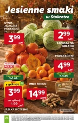 Odkryj orientalne inspiracje i hitowe rabaty – Stokrotka