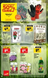 Inspirujący tydzień w POLOmarket