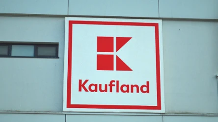 Sezon na grzyby rusza. Kaufland przygotował ofertę dla grzybiarzy