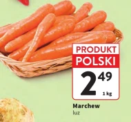 Морква Polski