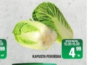 Kapusta