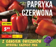 Papryka Polski