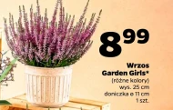 Doniczka Gardenic