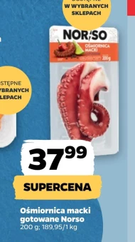 Ośmiornica