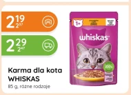 Karma dla kota Whiskas