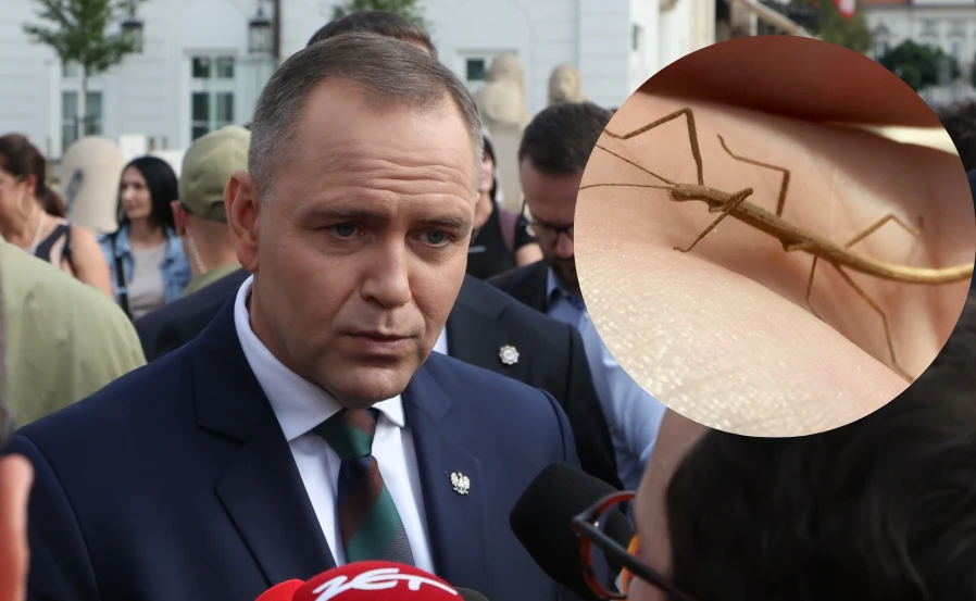 Karol Nawrocki jest przeciwny pokazywaniu patyczków, gdy on przemawia Karol Nawrocki w garniturze udziela wywiadu dziennikarzom; zbliżenie na patyczaka trzymanego na dłoni.