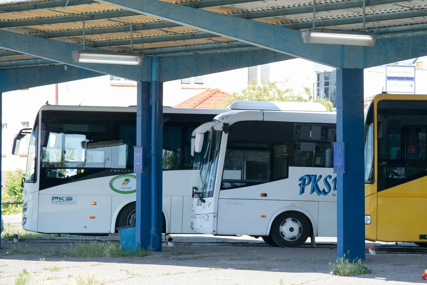 ZSK ma połączyć Polskę koleją. Bez autobusów plan może nie zadziałać Trzy autobusy pod wiatą dworca, środkowy pojazd biały z logotypem PKS i tablicami informacyjnymi.
