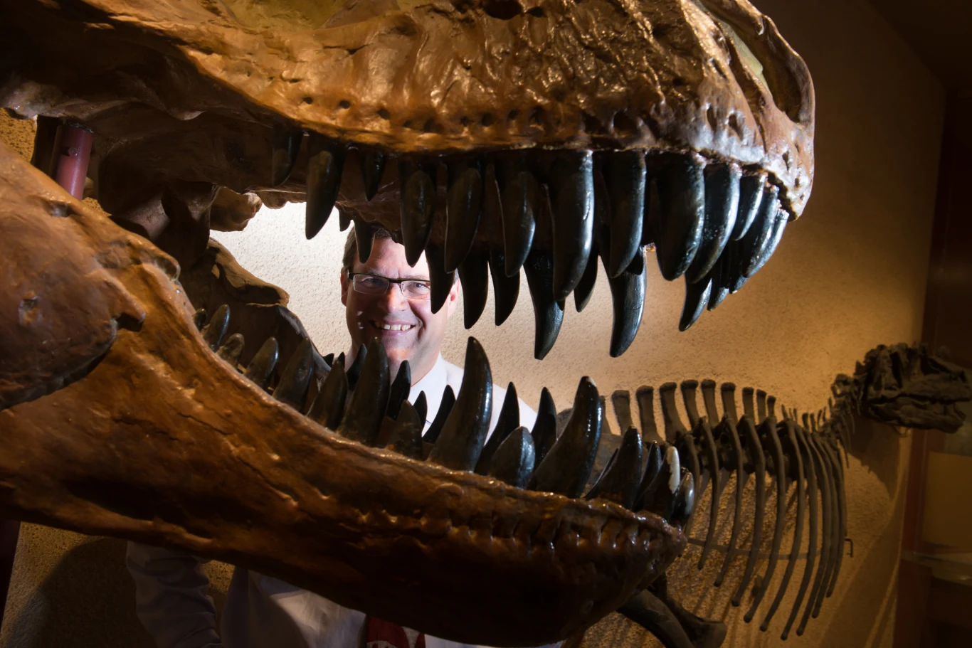 Duża czaszka dinozaura z imponującymi zębami w centrum, przez której szczękę widoczny jest uśmiechnięty mężczyzna w okularach, w tle fragment szkieletu dinozaura.