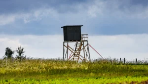 Czy Polska doczeka się reformy łowiectwa?