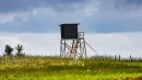 Czy Polska doczeka się reformy łowiectwa?