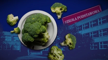 Dieta planetarna