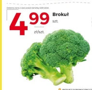 Brokuł