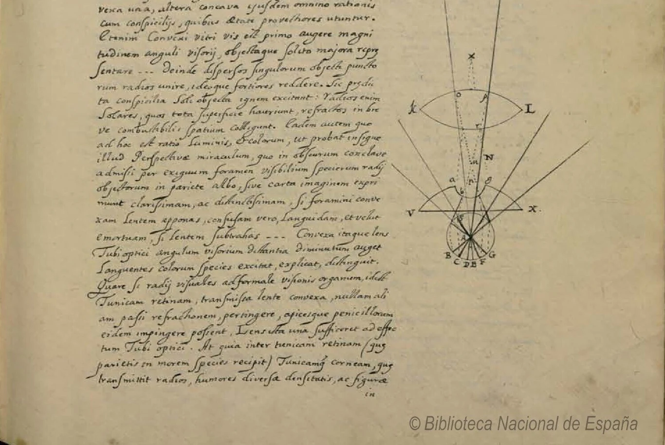 Ten rękopis przeleżał setki lat. Może zmienić historię Galileusza Ręcznie napisana strona manuskryptu z rysunkiem soczewki i oznaczeniami literowymi.