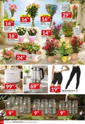 Mamy moc promocji! - Twój Market