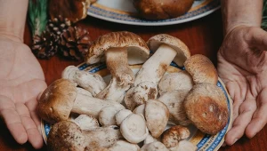 W metalowej puszce czy papierowej torebce? Tak zachowasz aromat grzybów