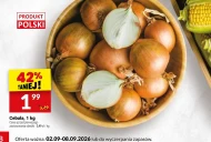 Cebula Polski