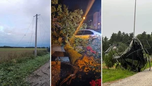W związku z wichurami strażacy interweniowali w Wielkopolsce ponad 200 razy