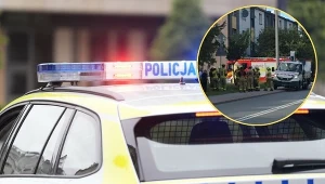Trzylatek wsiadł za kierownicę auta i doprowadził do wypadku
