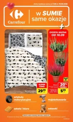 Same okazje! - Carrefour