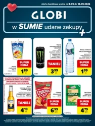 Udane zakupy na każdy dzień - Globi