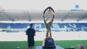 Panthers Wrocław – Vikings Vienna. Polski klub rozbity w finale [WIDEO]