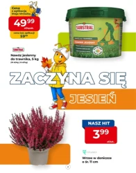 Wrześniowy plan dla domu i ogrodu - PSB Mrówka