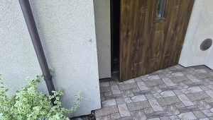 Przynieś z kuchni i rozsypuj tam, gdzie kręcą się myszy. Znikną do rana