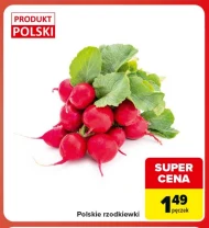 Rzodkiewki Polski