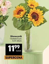 Słoneczniki