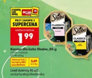 Karma dla kota Sheba
